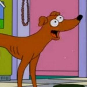 Meet your Posher, Hana